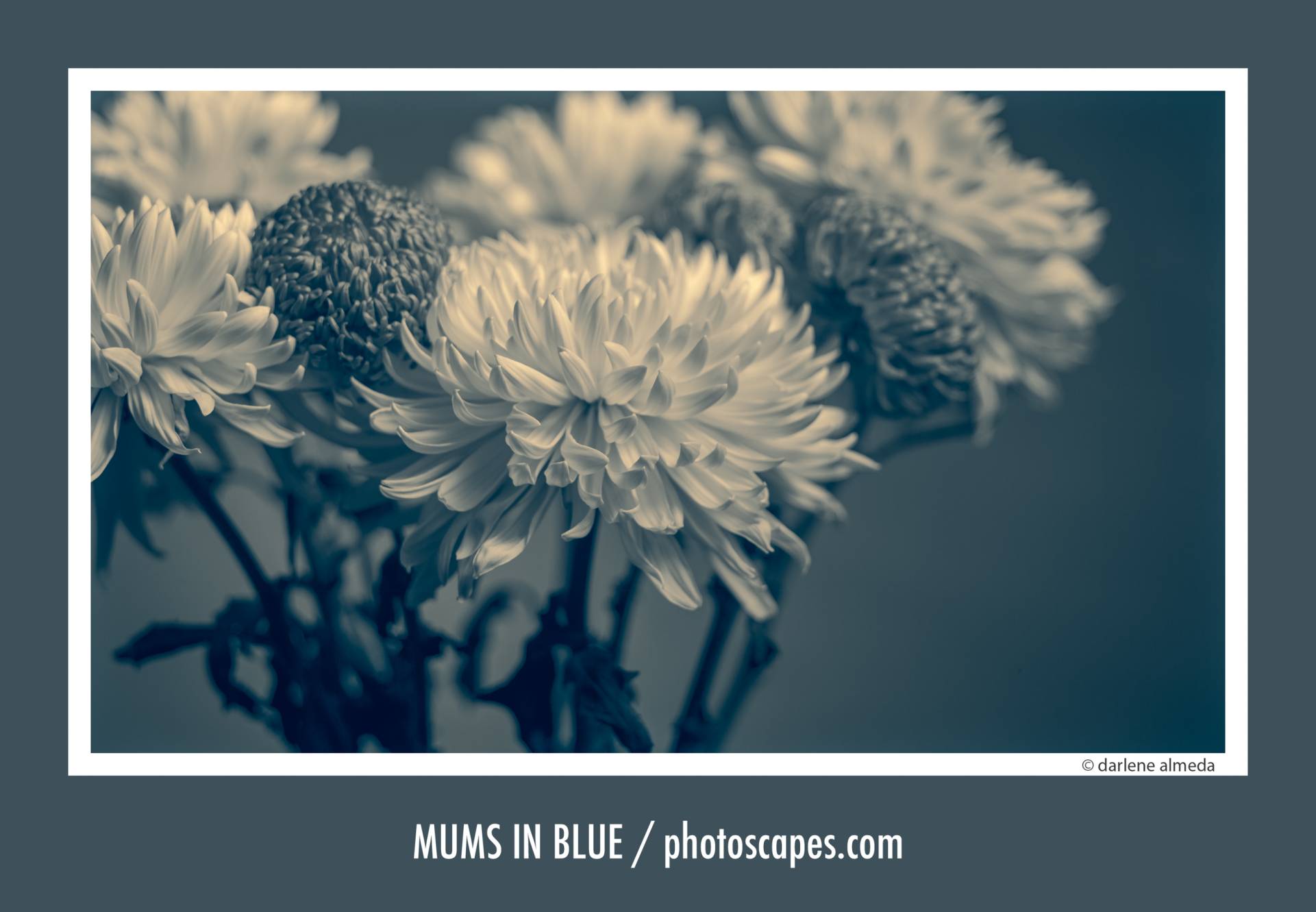 MUMS IN BLUE