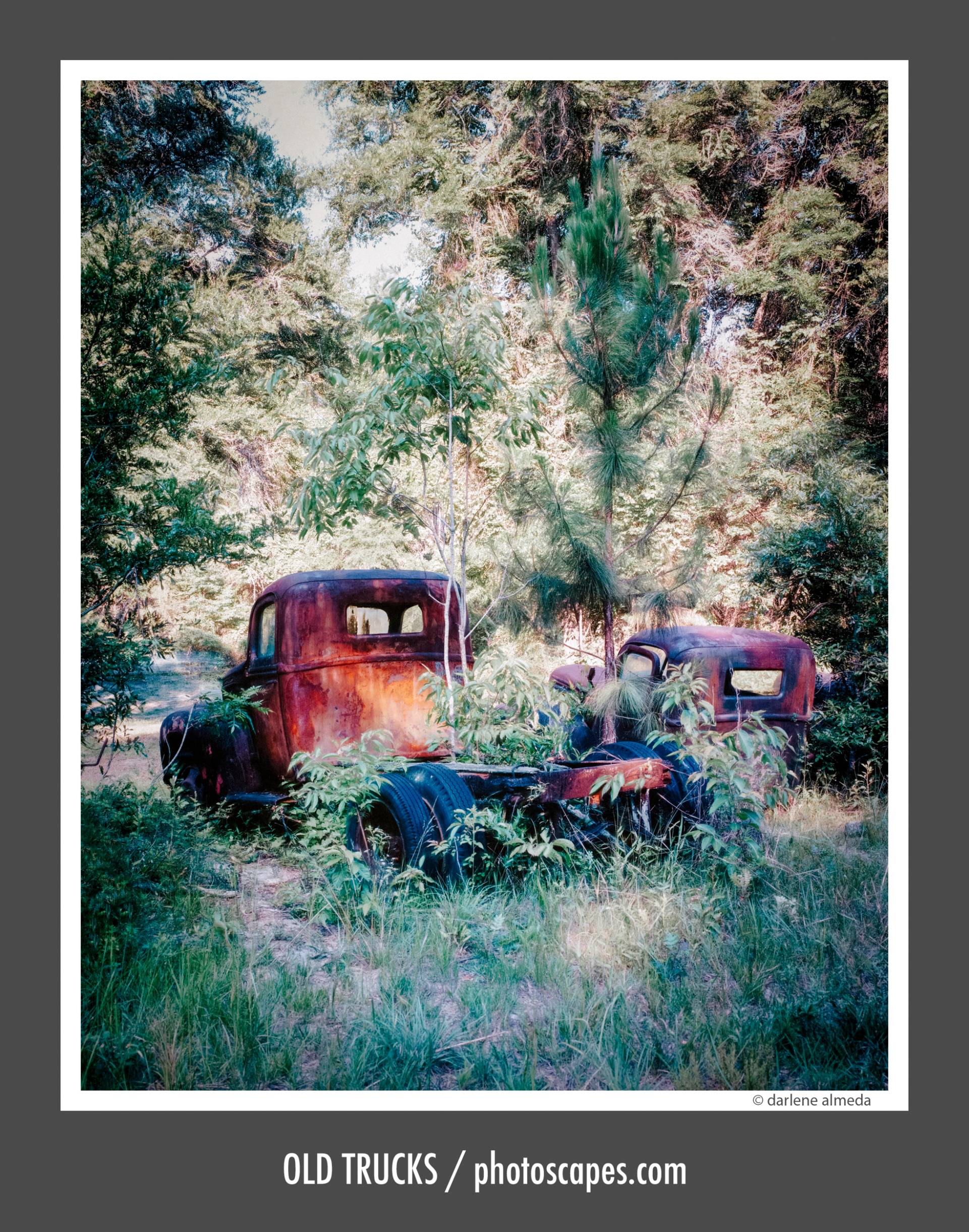 OLD TRUCKS