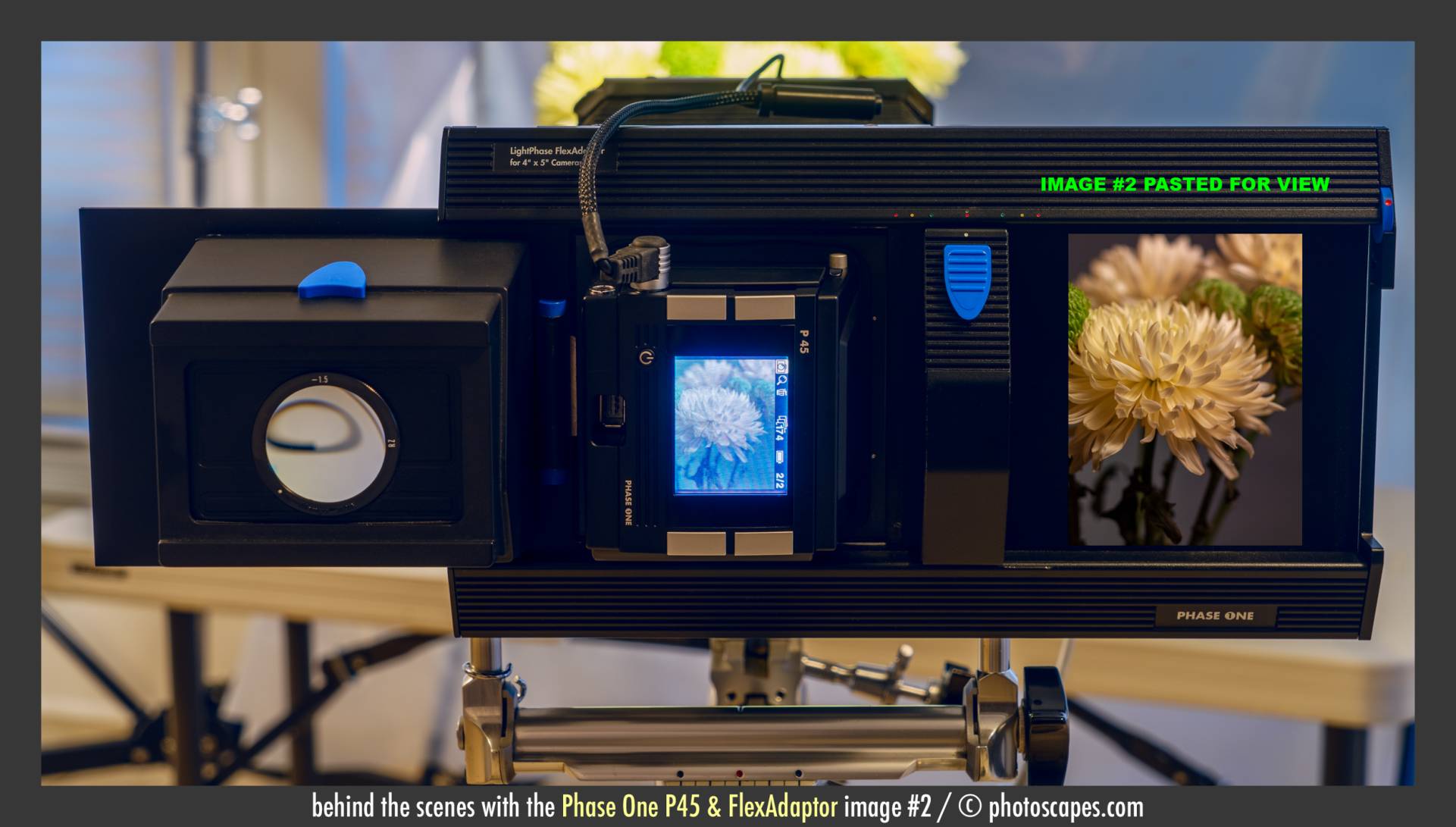 PHASE ONE P45 & FLEXADAPTER: SLICE 2