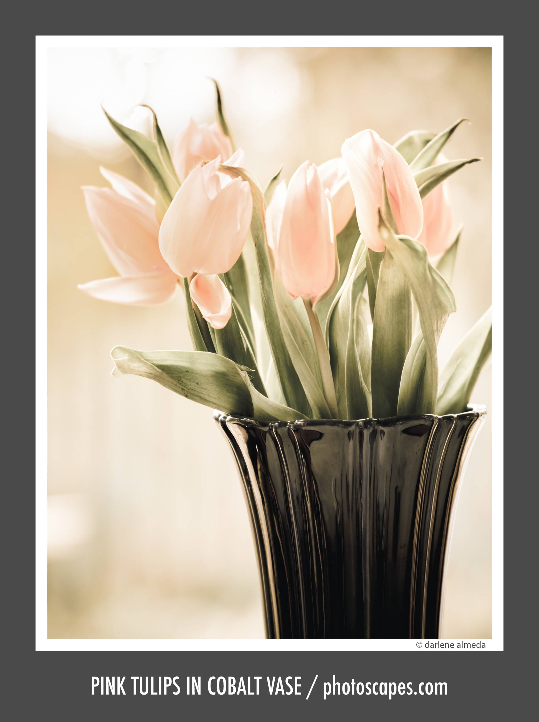 PINK TULIPS IN COBALT VASE