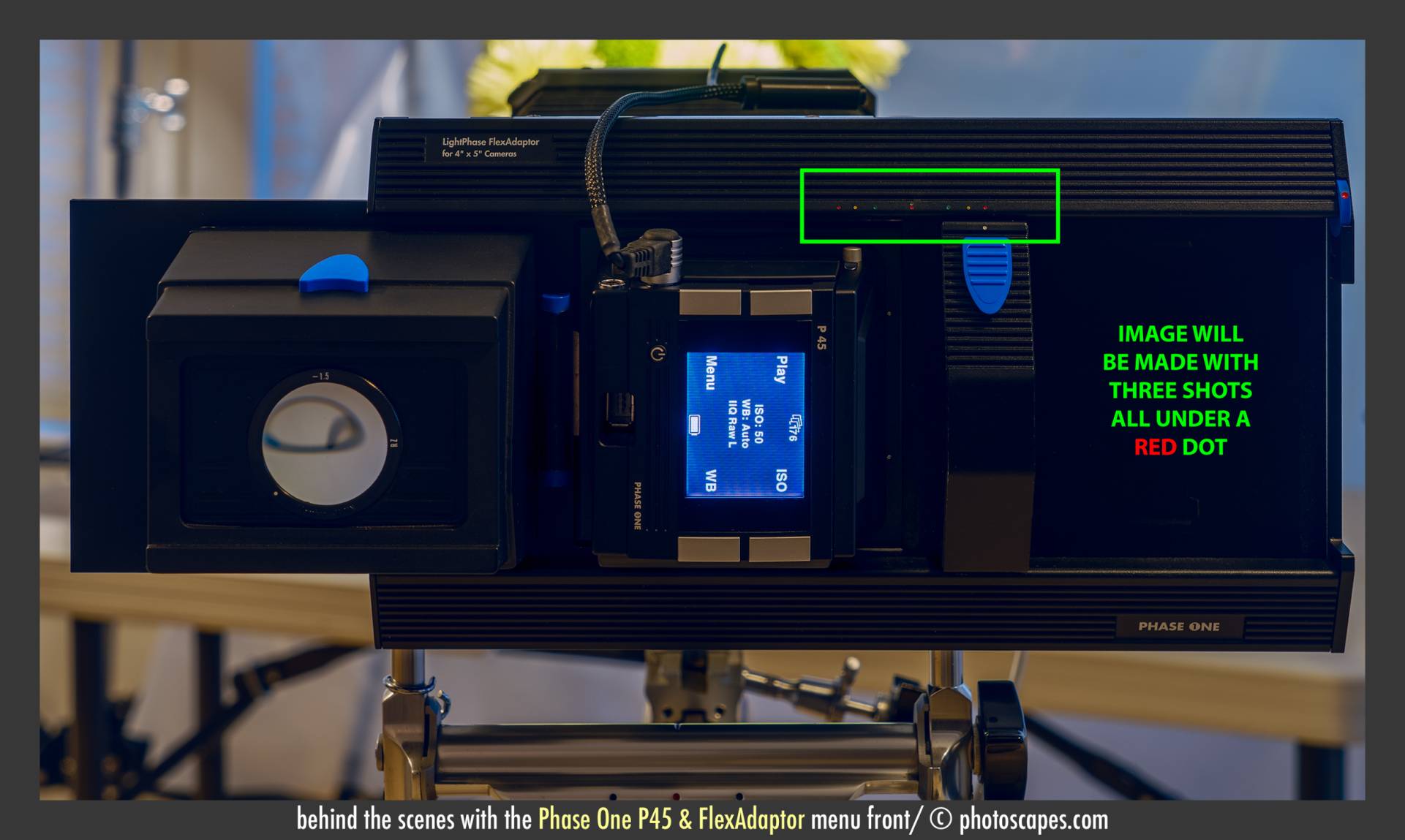 PHASE ONE P45 & FLEXADAPTER: DOTS