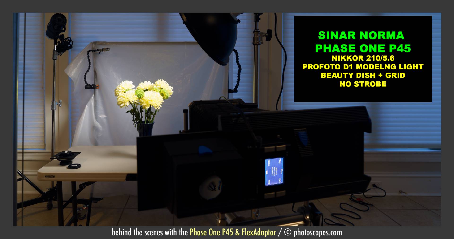 PHASE ONE P45 & FLEXADAPTER: BEHIND THE SCENES