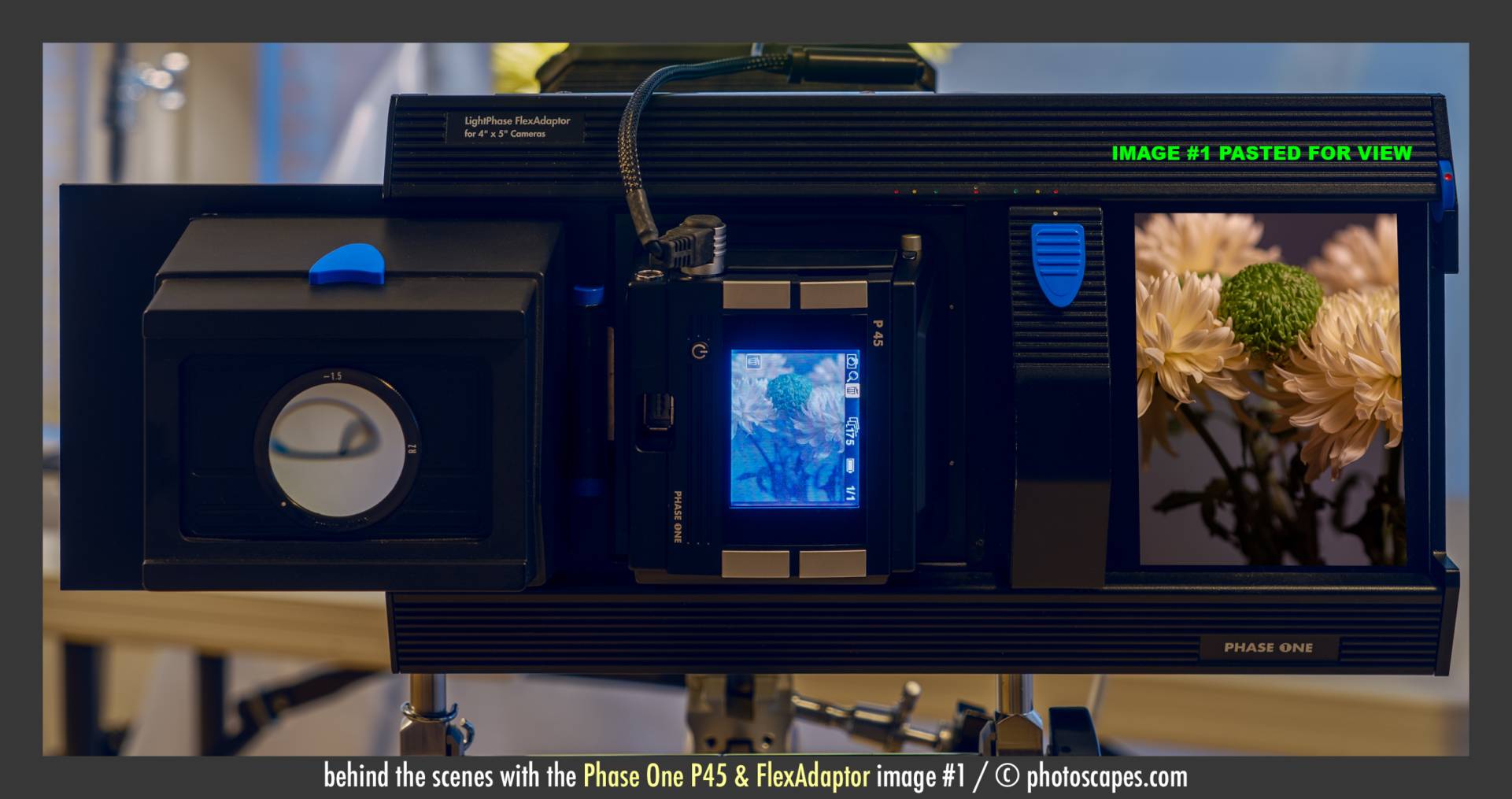 PHASE ONE P45 & FLEXADAPTER: SLICE 1