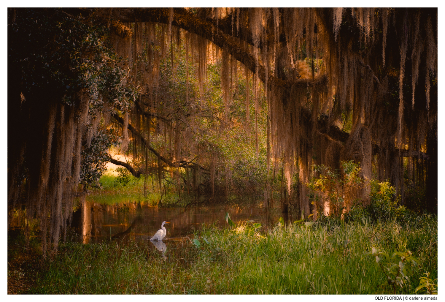 OLD FLORIDA