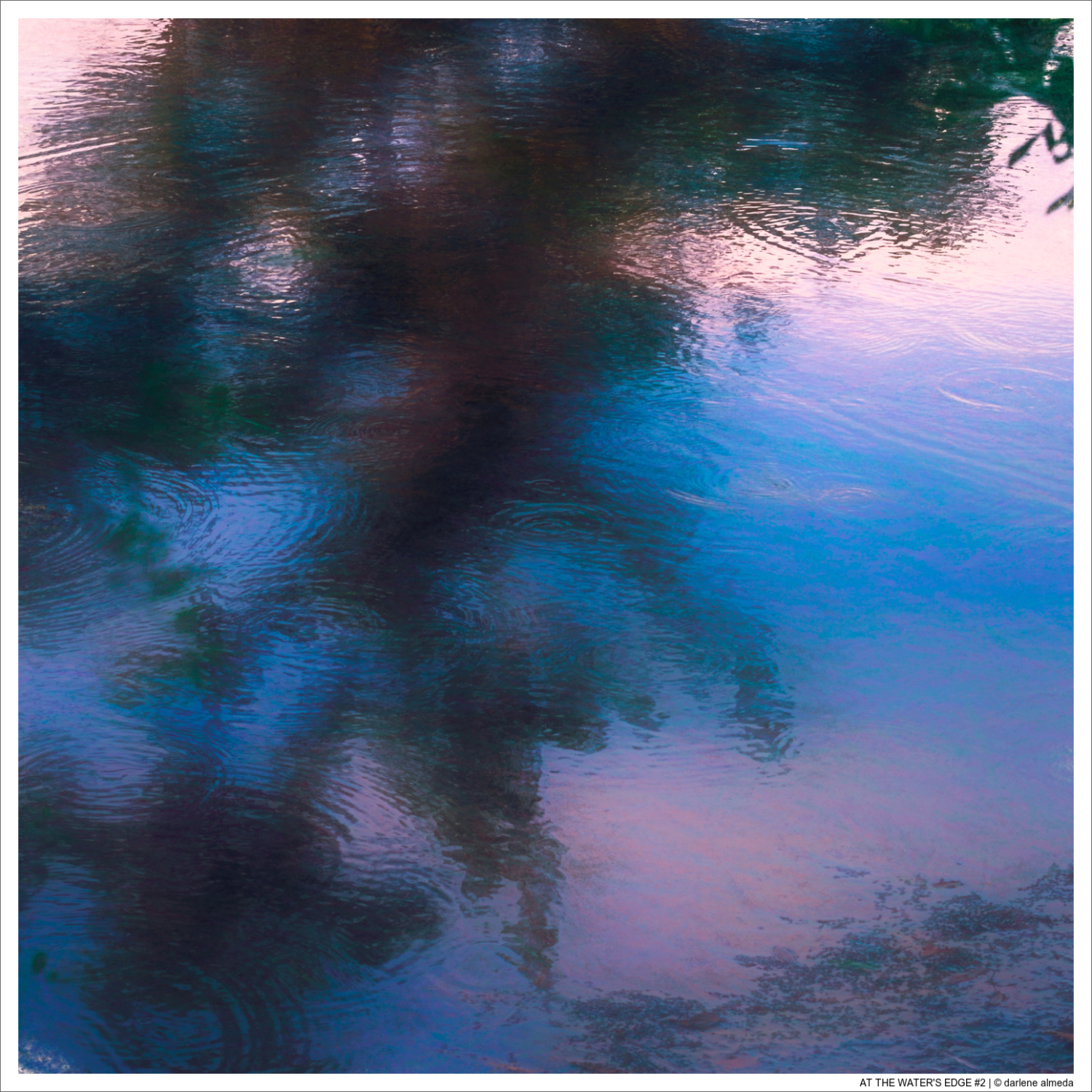 AT THE WATER'S EDGE #2