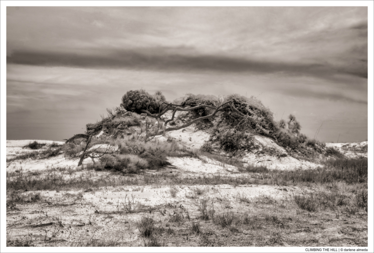 CLIMBING THE HILL