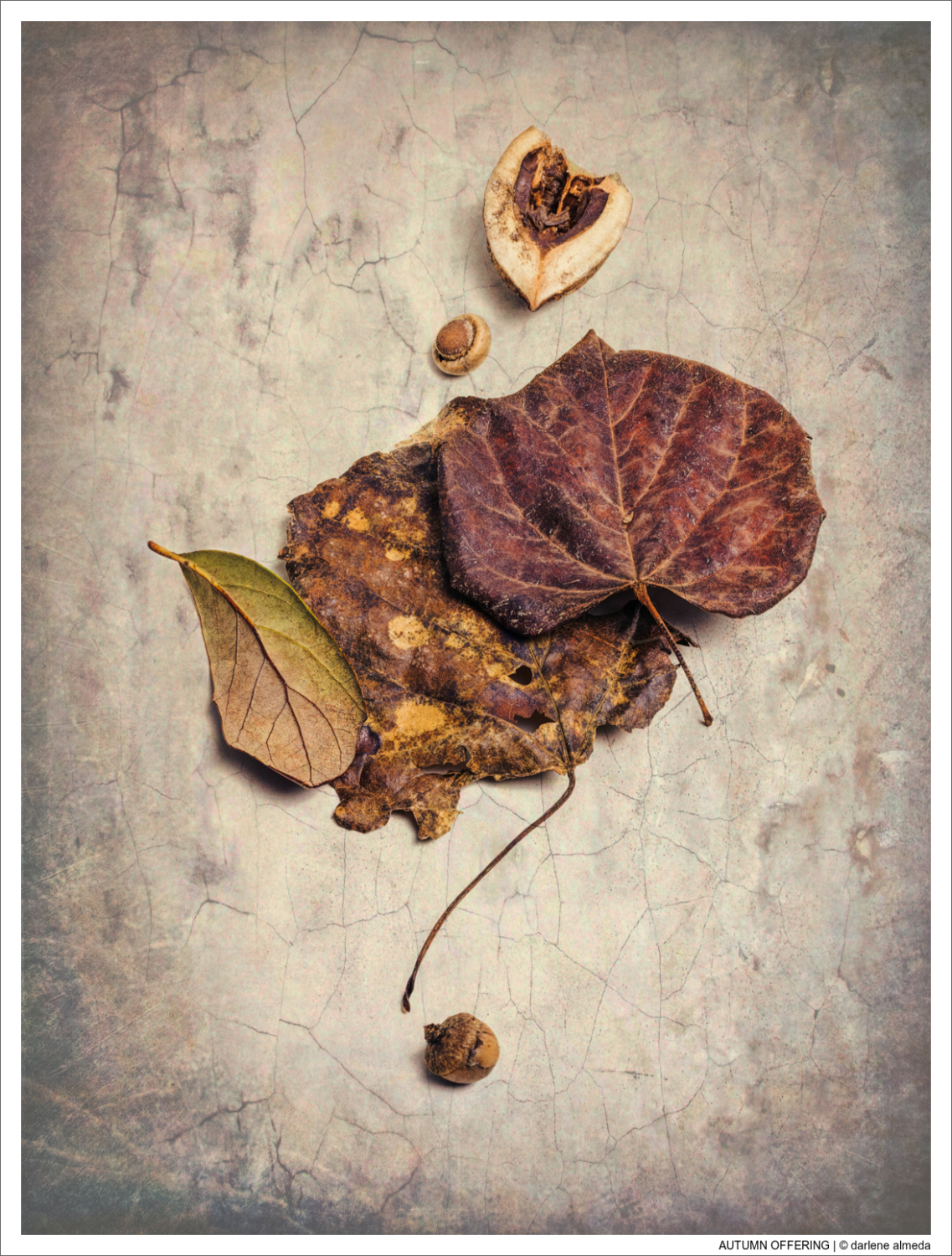 AUTUMN OFFERING