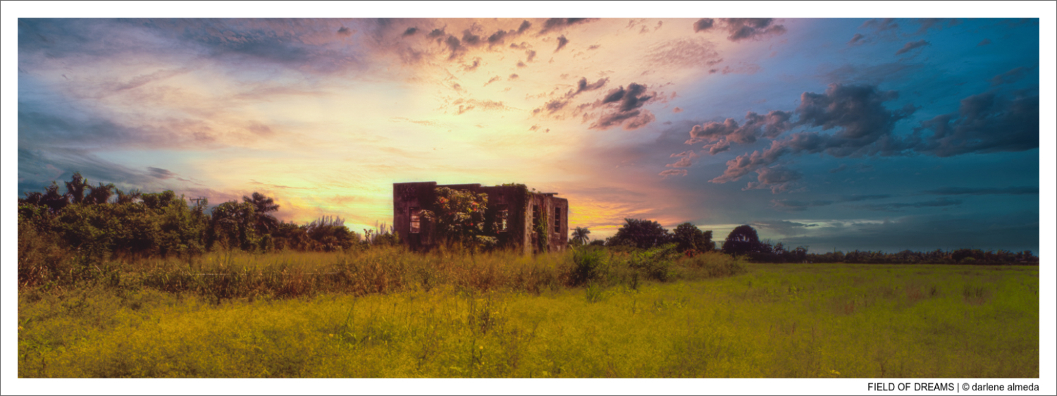 FIELD OF DREAMS