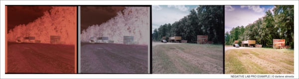 NEGATIVE LAB PRO EXAMPLE