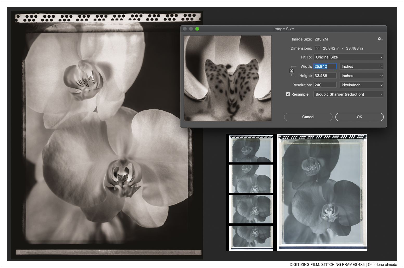 Digitizing Film Part 2: Software, Contact Sheets, Bracketing, Stitching, Workflow