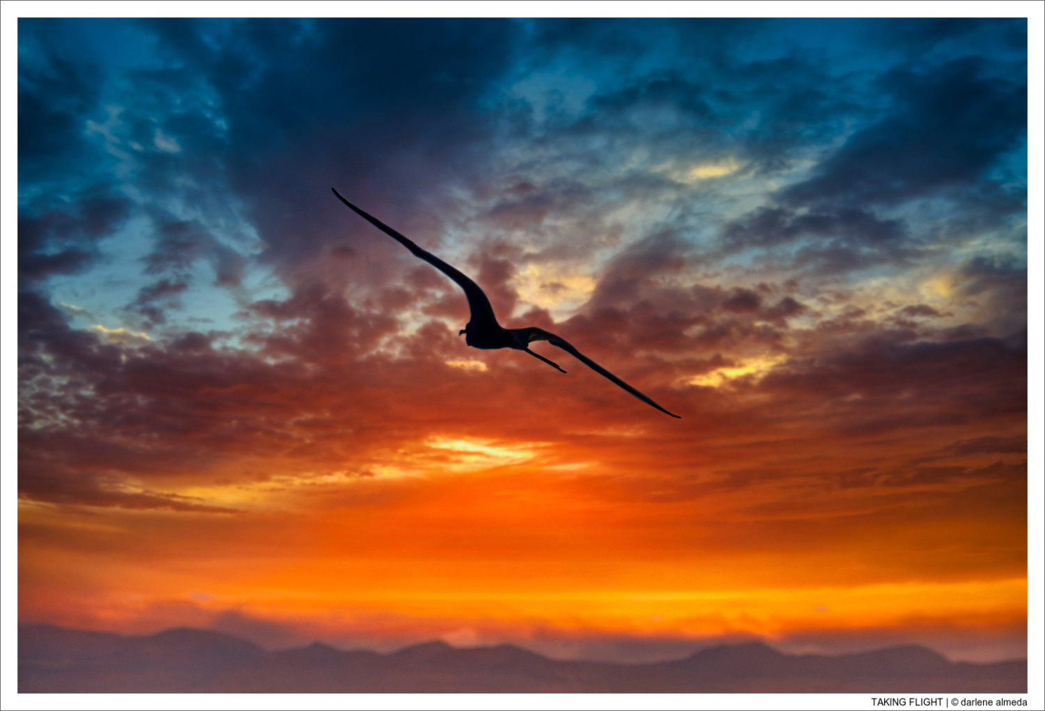 TAKING FLIGHT