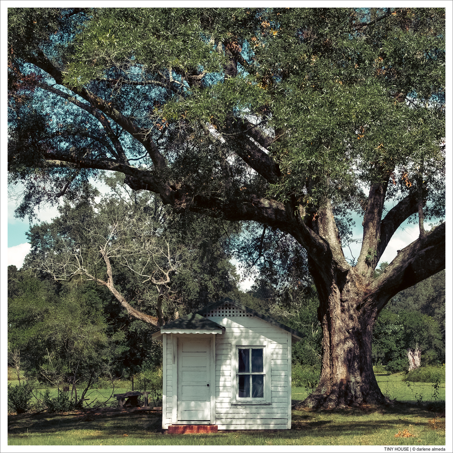 TINY HOUSE
