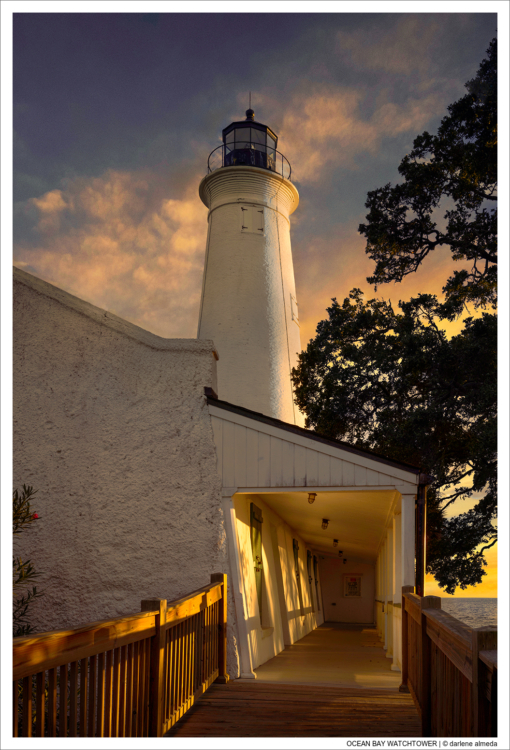 OCEAN BAY WATCHTOWER