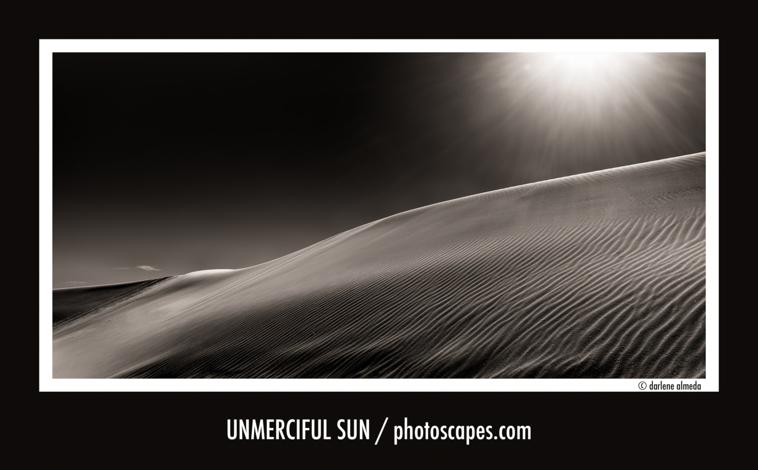 UNMERCIFUL SUN