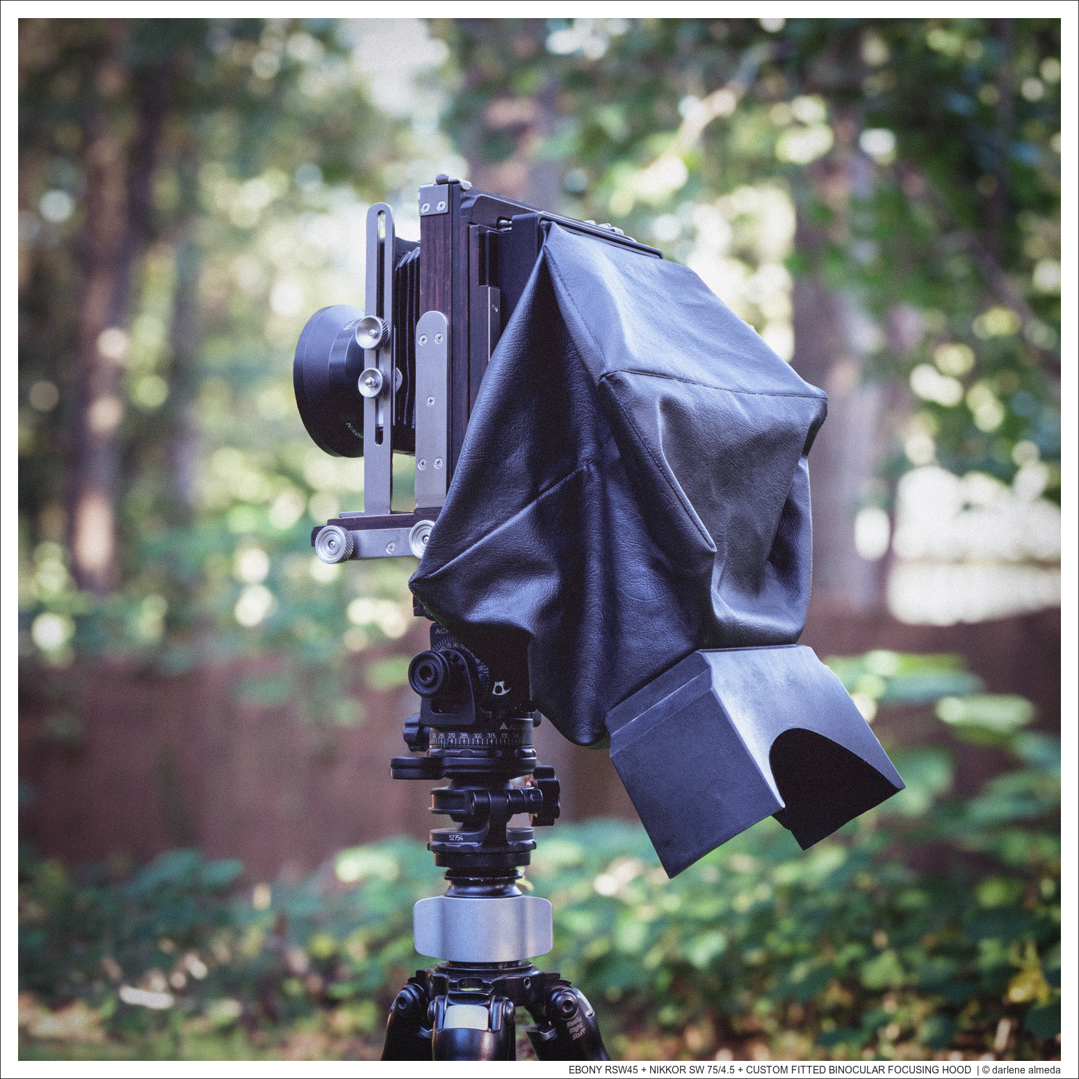 Binocular Viewer Customized for Ebony 4×5 Cameras