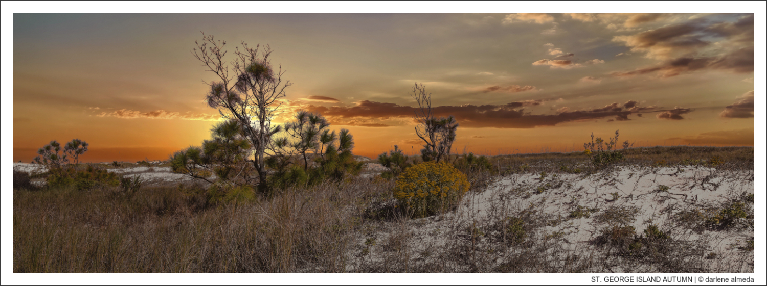 ST. GEORGE ISLAND AUTUMN