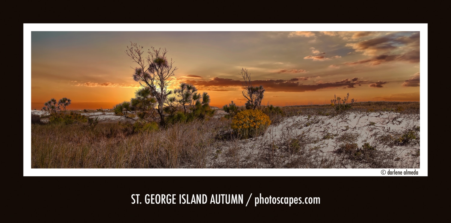 ST. GEORGE ISLAND AUTUMN
