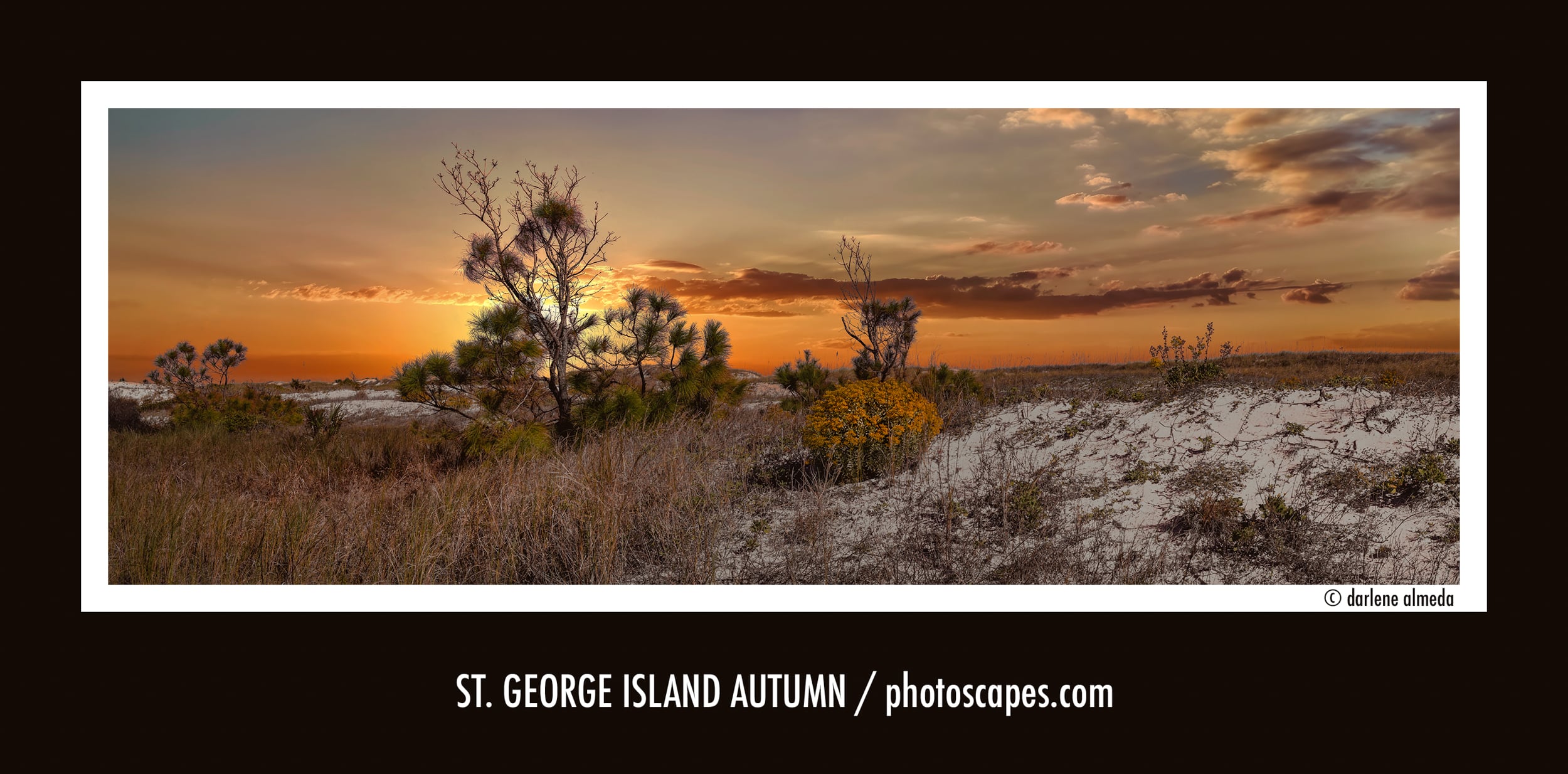 St. George Island Autumn