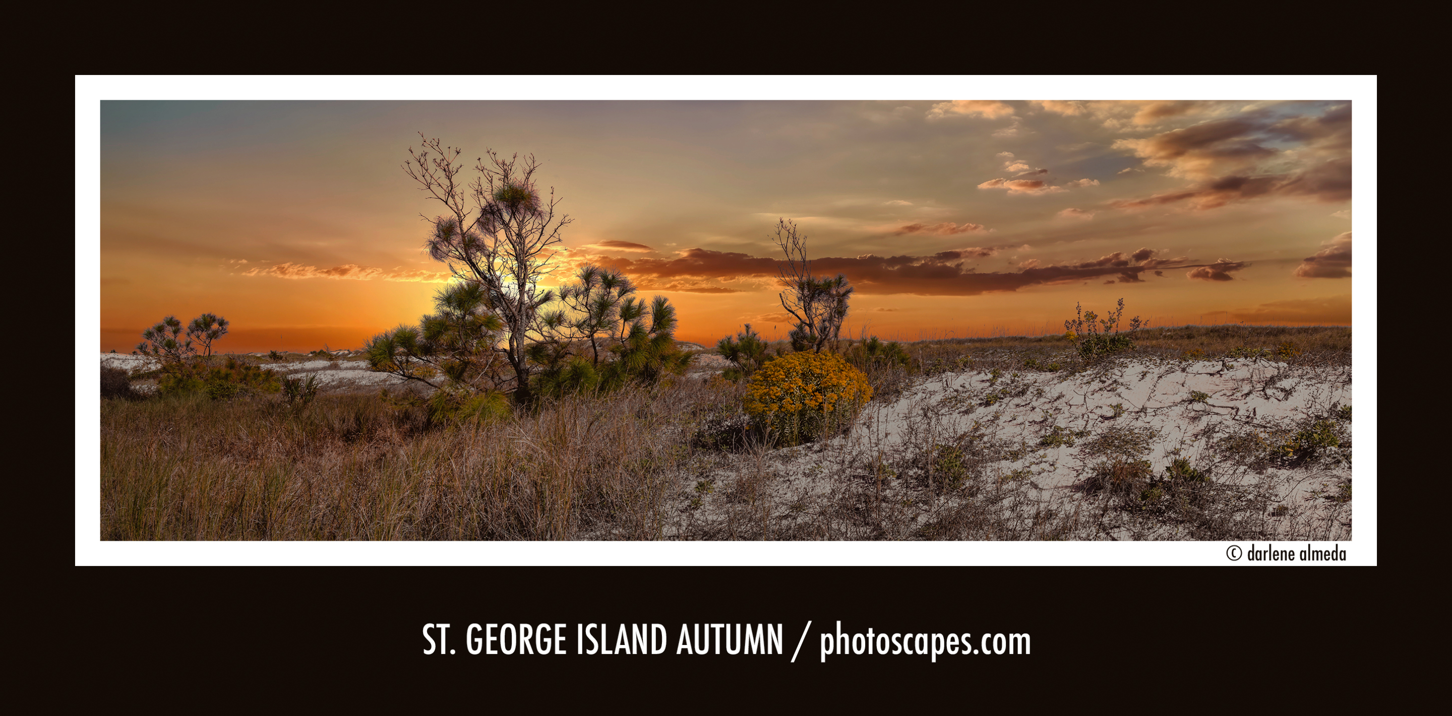 St. George Island Autumn
