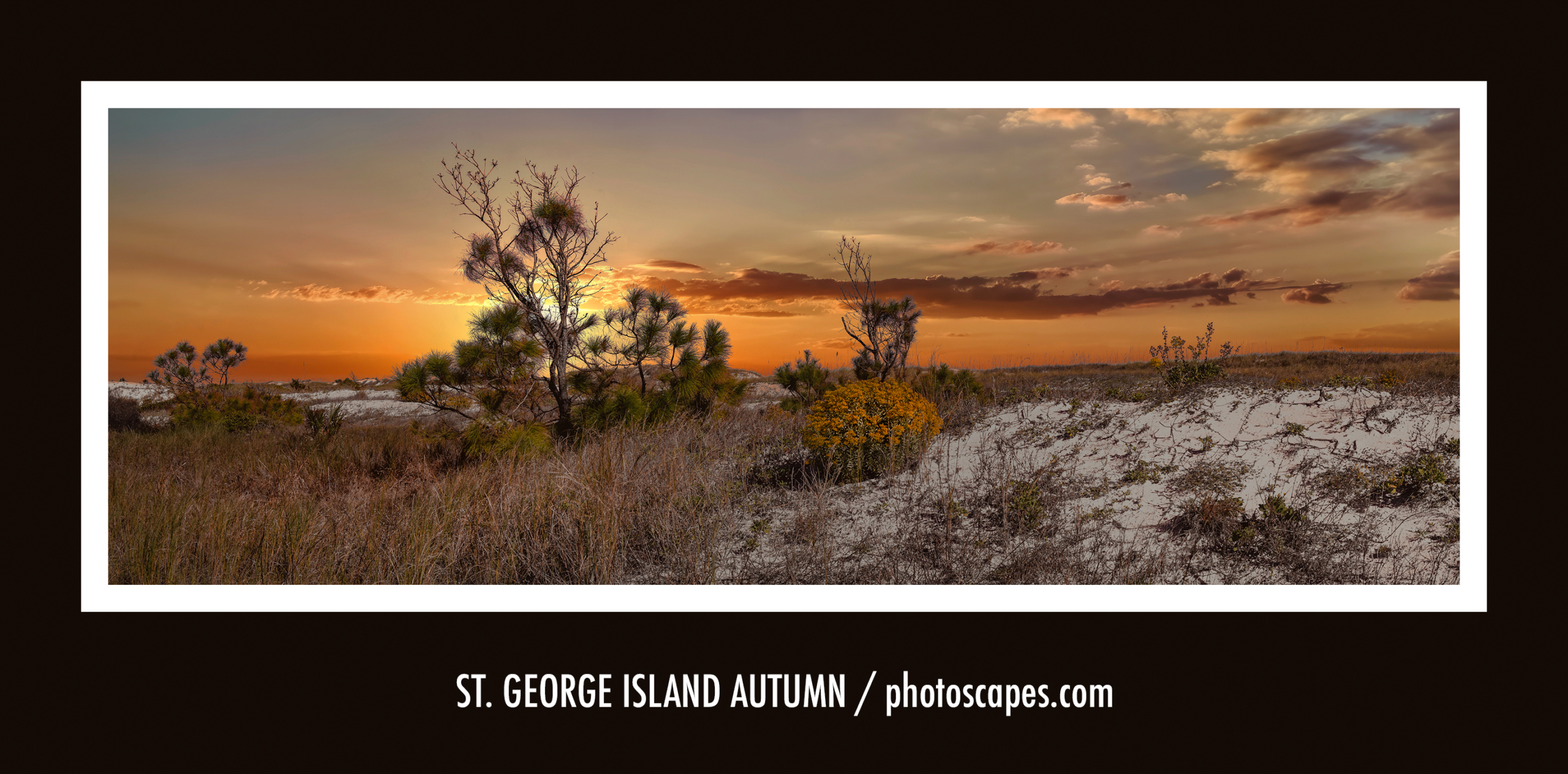 St. George Island Autumn