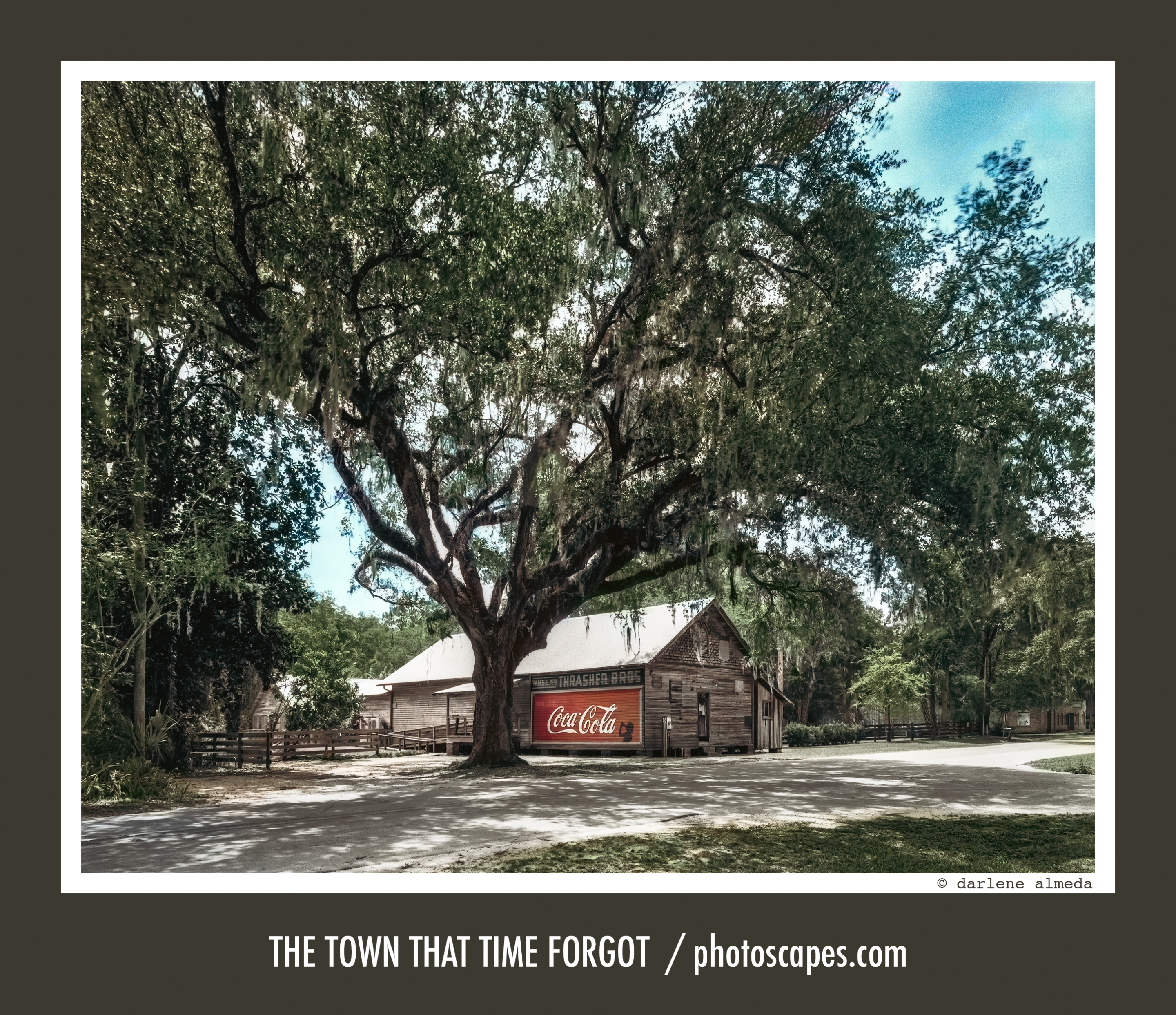 Hand-Coloring 4×5 Film: Capturing Micanopy’s Timeless Charm