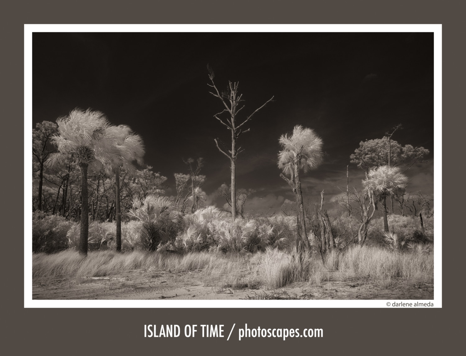 ISLAND OF TIME