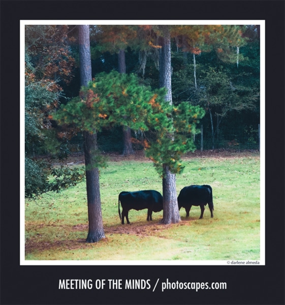 MEETING OF THE MINDS