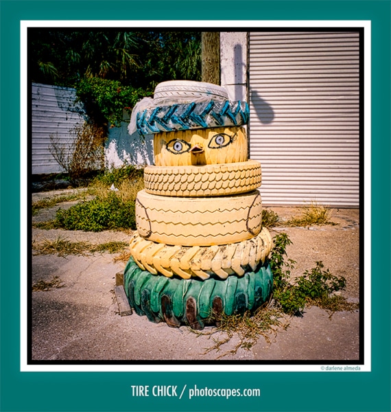 TIRE CHICK