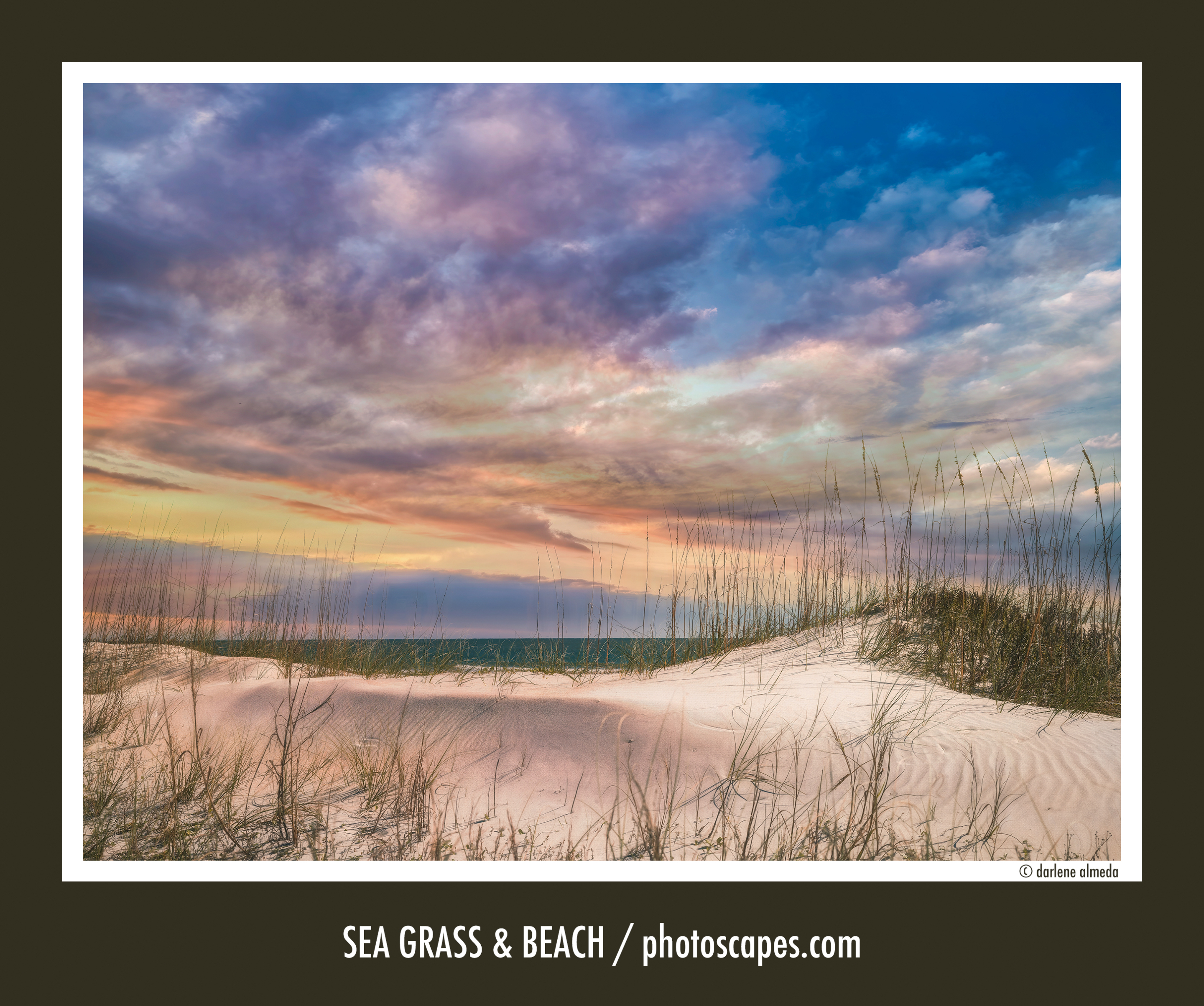 Sea Grass & Beach: The Art of Balancing Light