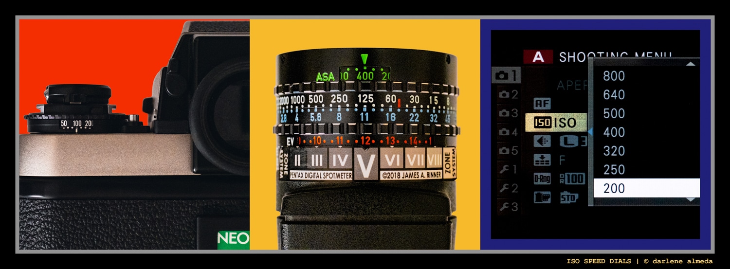 ISO Speed: Sensitivity, Signal, and Creative Control