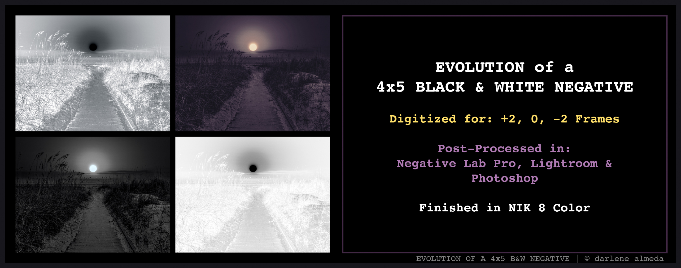 EVOLUTION OF A 4x5 BLACK & WHITE NEGATIVE EVOLUTION OF A 4x5 BLACK & WHITE NEGATIVE