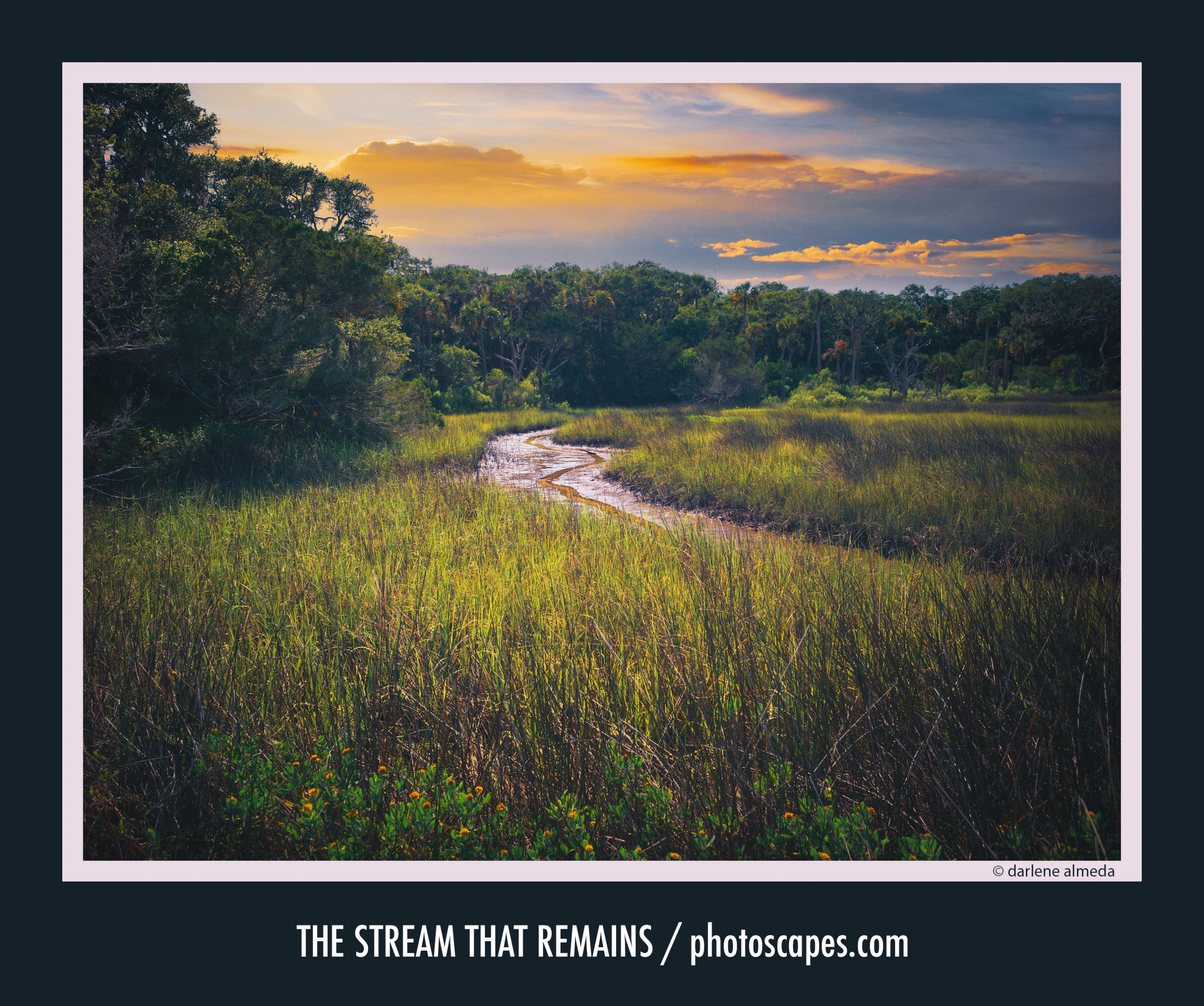 The Stream That Remains