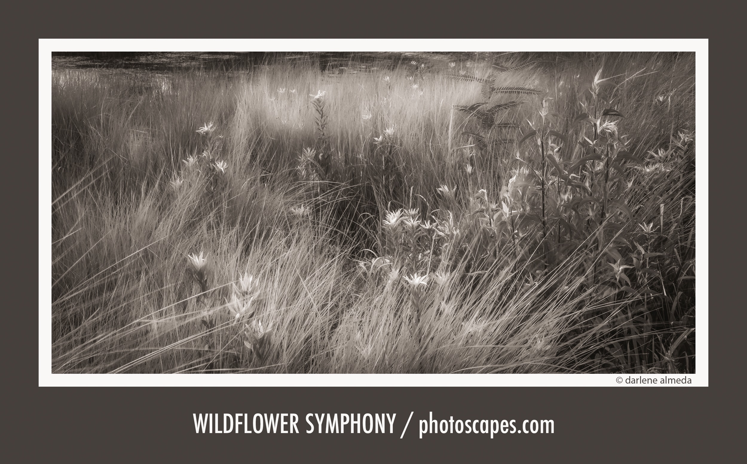 A Viewfinder for the Soul