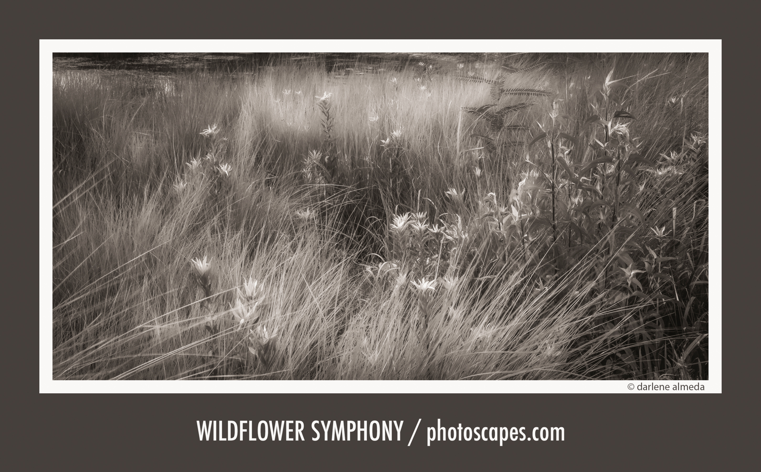 A Viewfinder for the Soul