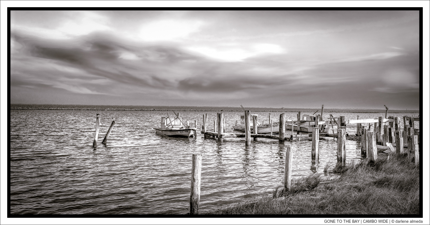GONE TO THE BAY | CAMBO WIDE