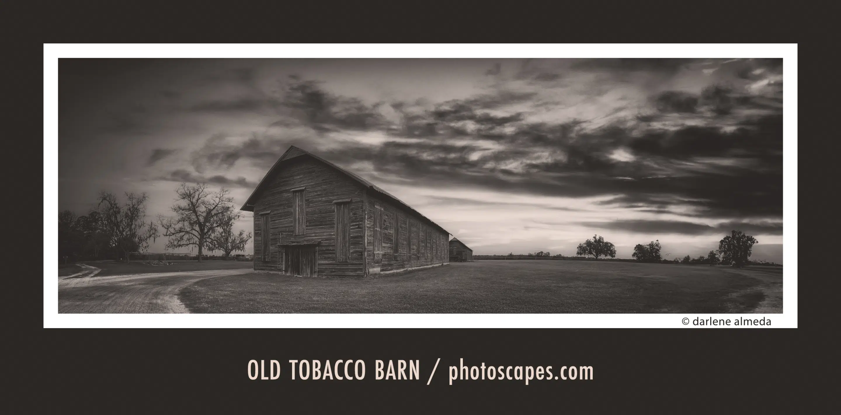 Stillness and Sky: The Old Tobacco Barn