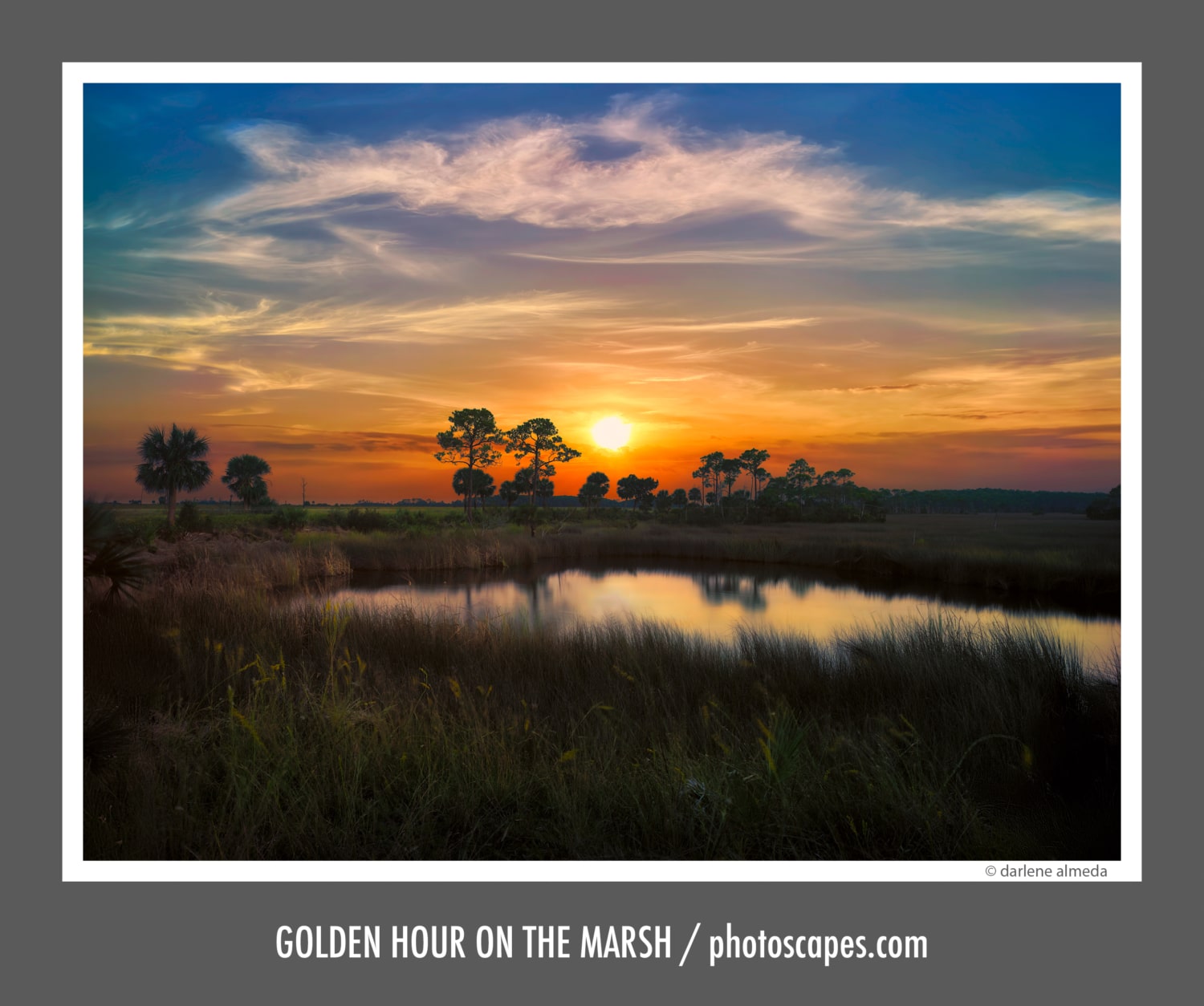 GOLDEN HOUR ON THE MARSH