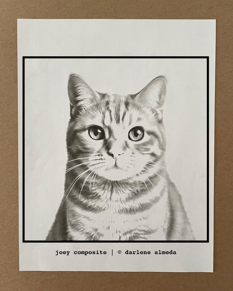 JOEY COMPOSITE