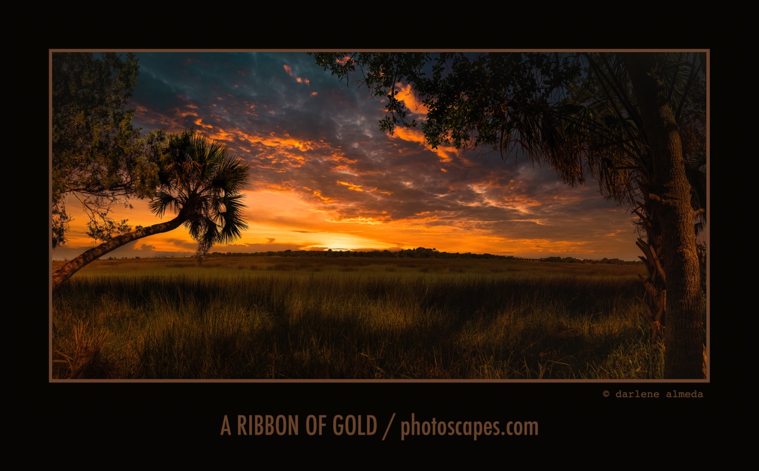 A RIBBON OF GOLD