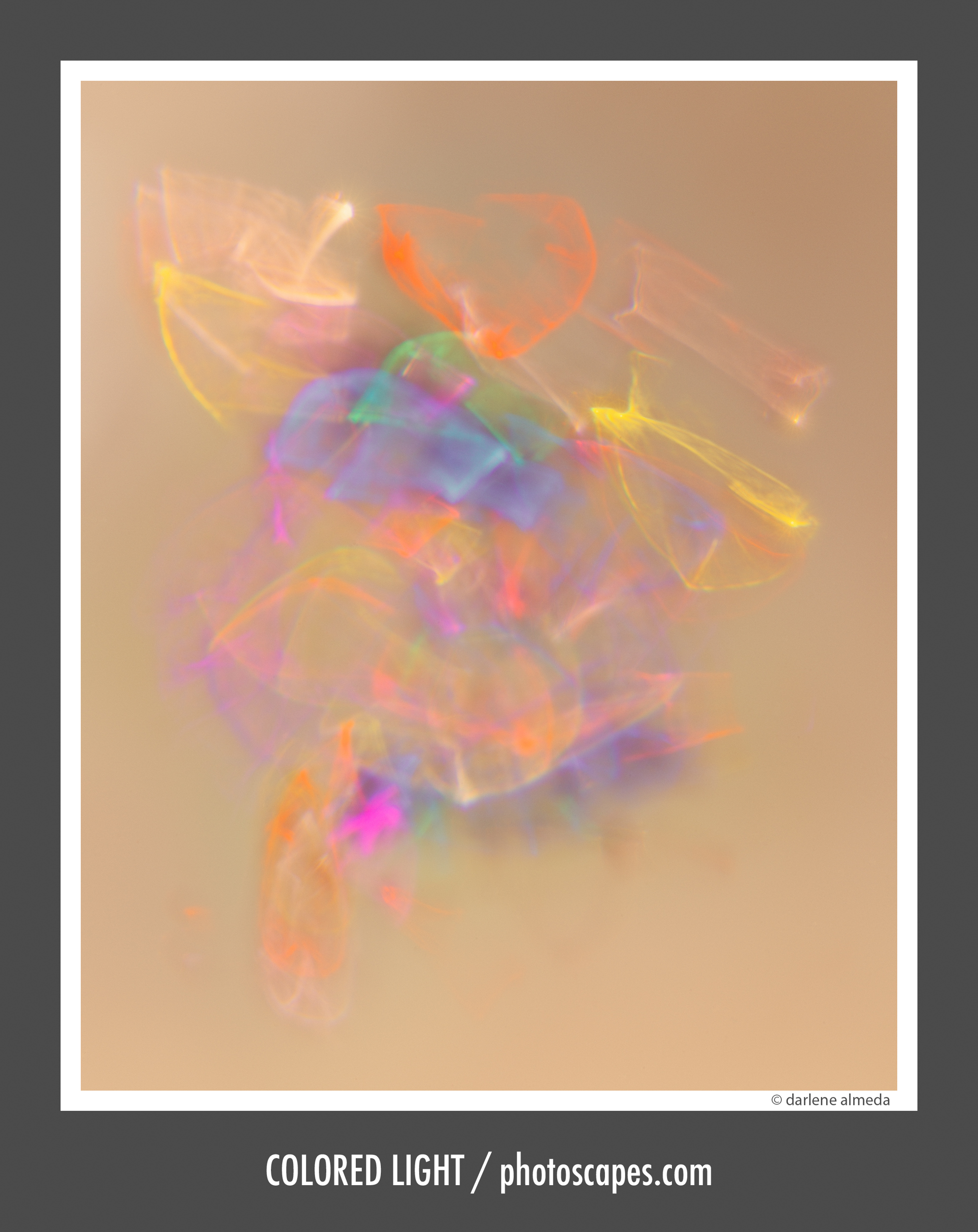 COLORED LIGHT FLEXBODY + CFi 120/4 MACRO + CFV 50c