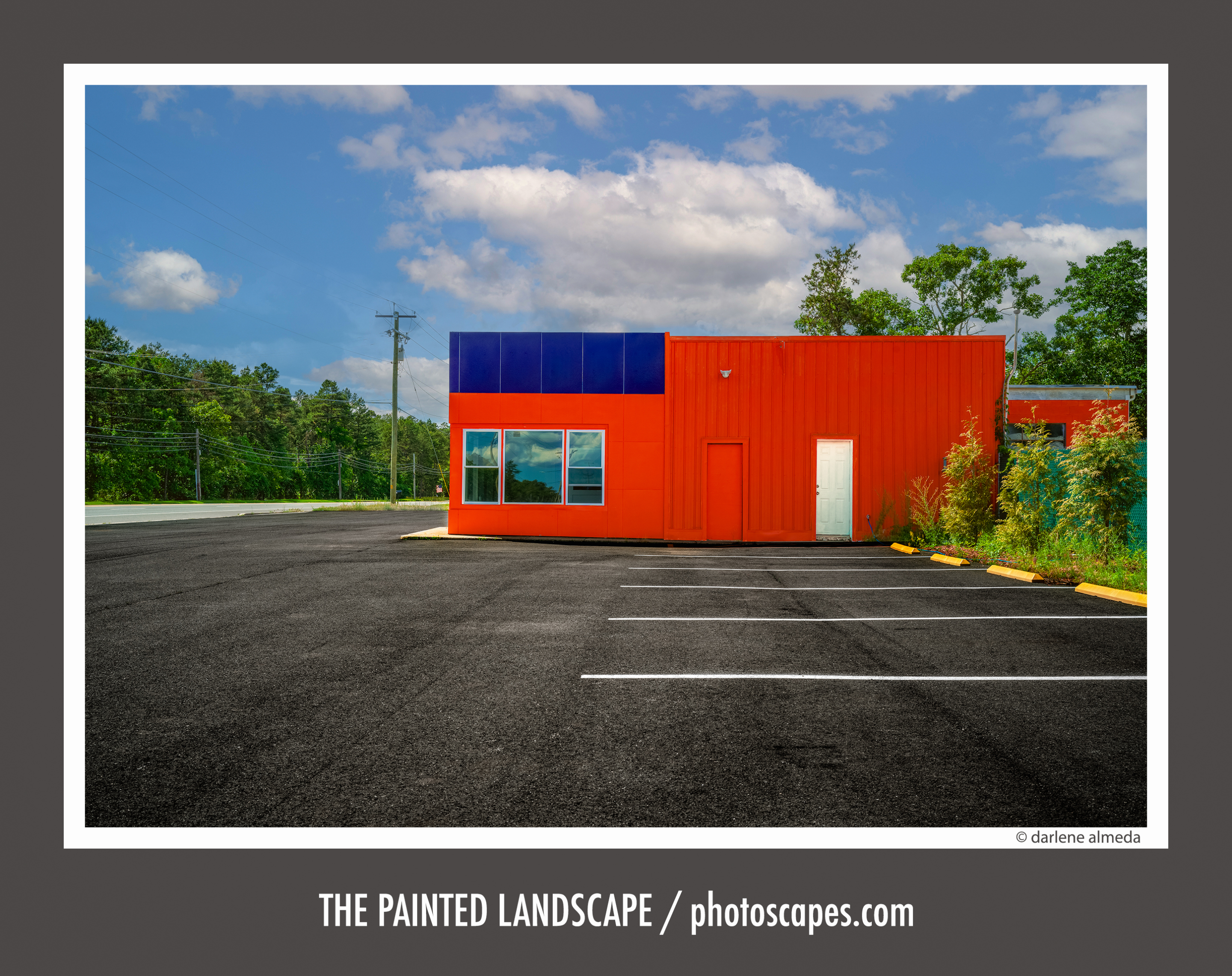 THE PAINTED LANDSCAPE