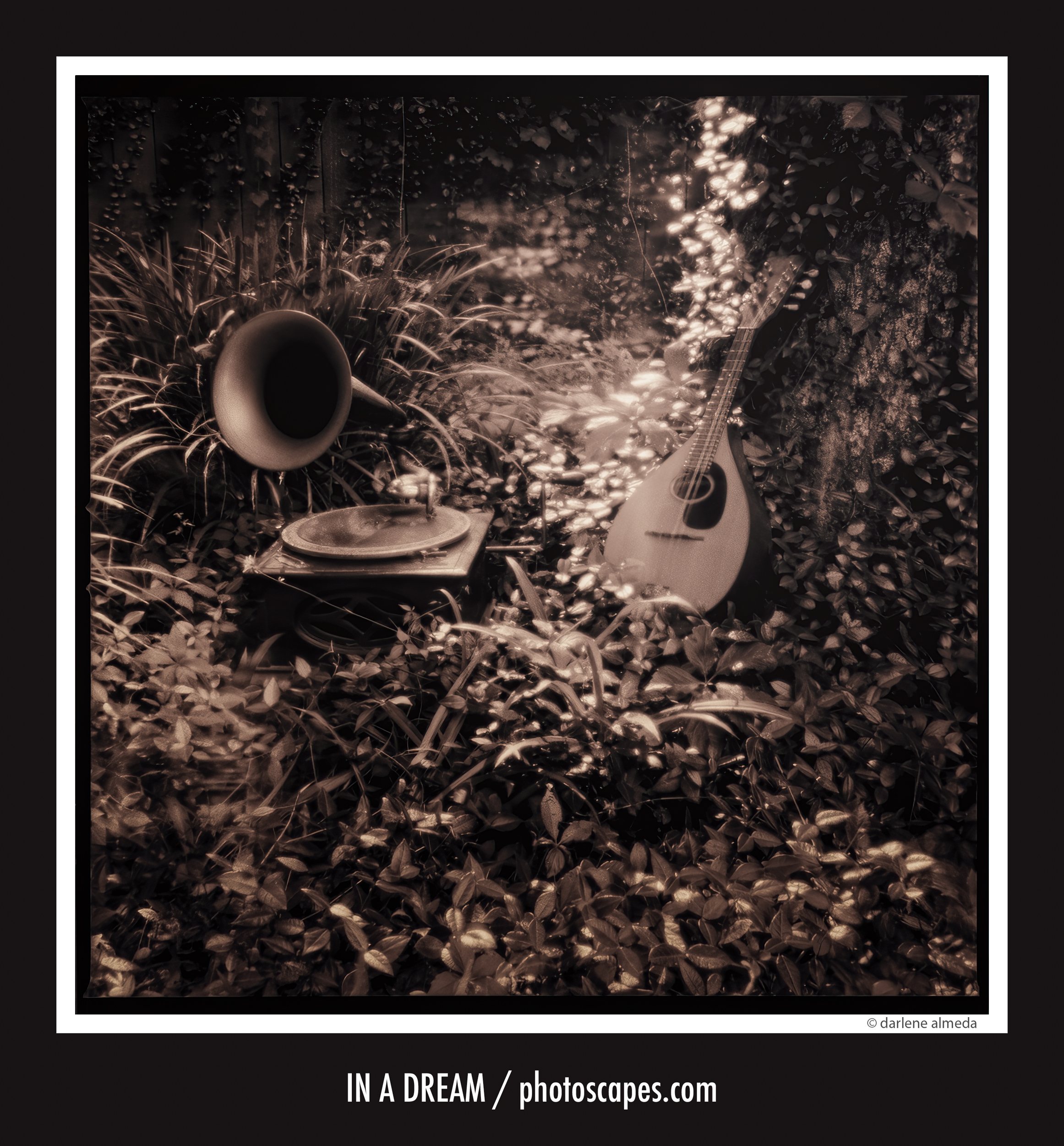 HASSELBLAD 501CM + CCB 0.35 PINHOLE CAP