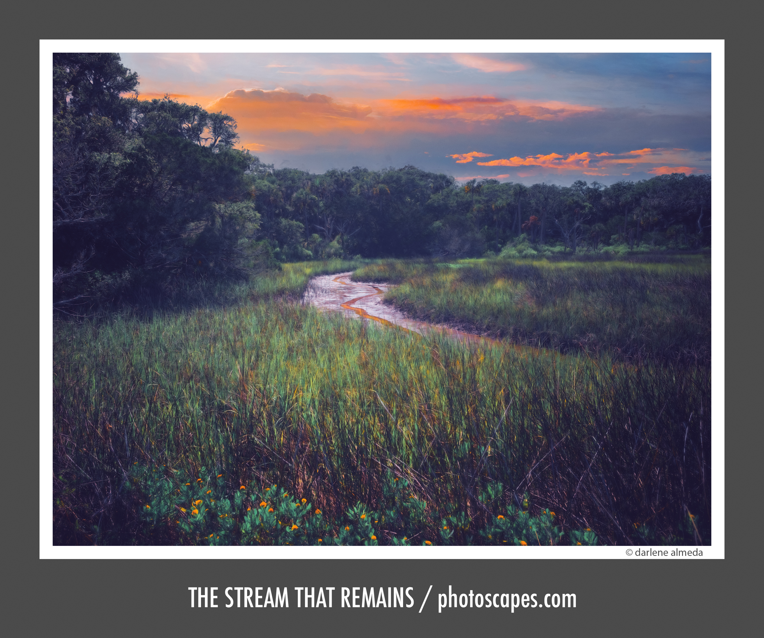 The Stream That Remains