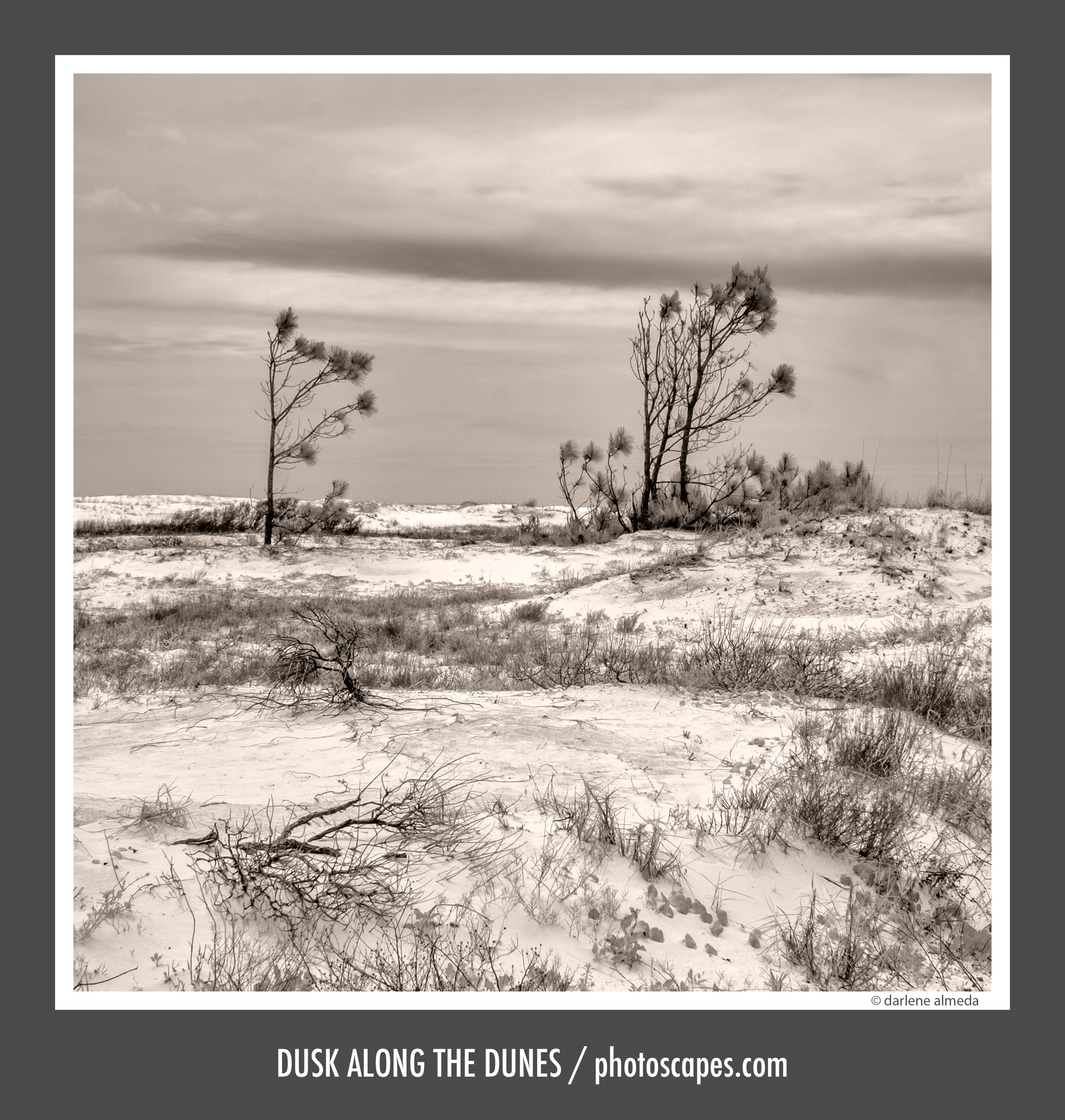 DUSK ALONG THE DUNES