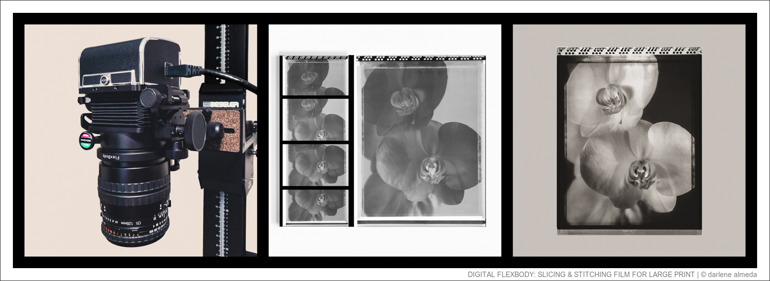 DIGITAL FLEXBODY: SLICING & STITCHING FILM FOR LARGE PRINT