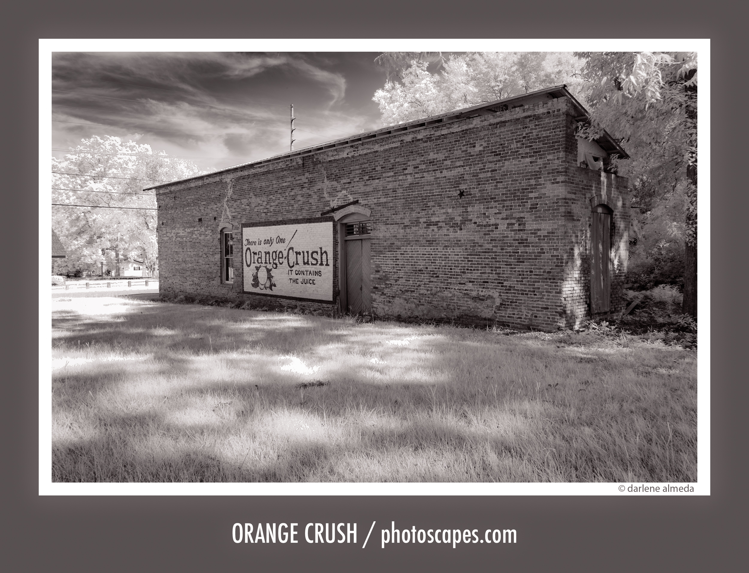 Digital Infrared Photography: Sigma SD1 Merrill, Part 2