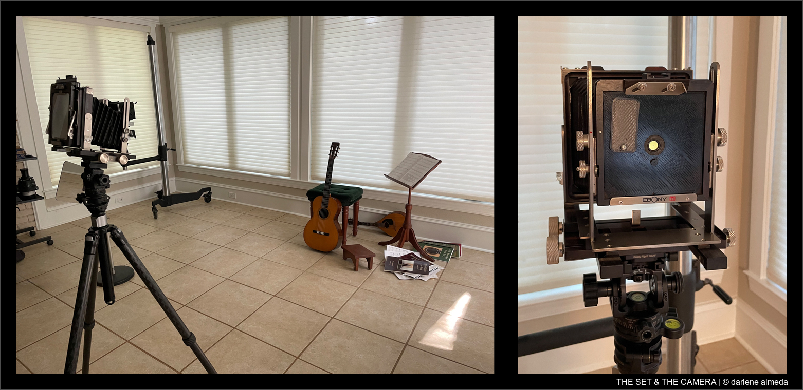 THE SET & THE CAMERA