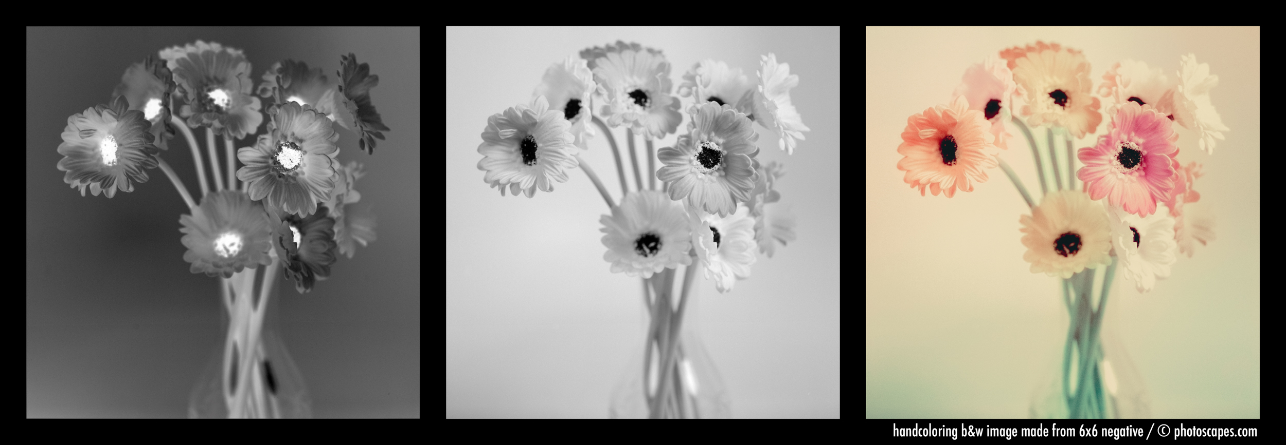 HAND-COLORING B&W IMAGE