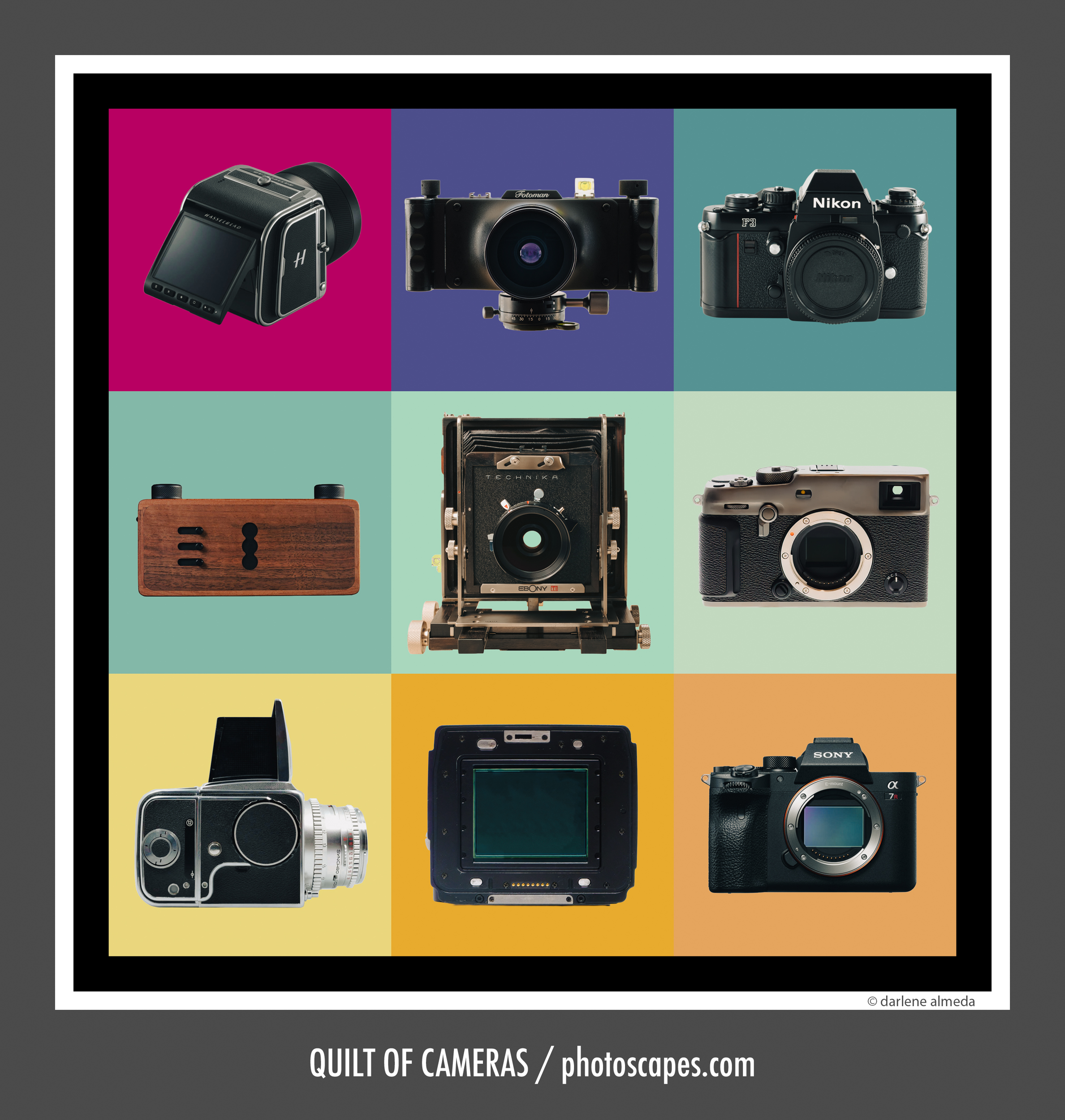 QUILT OF CAMERAS
