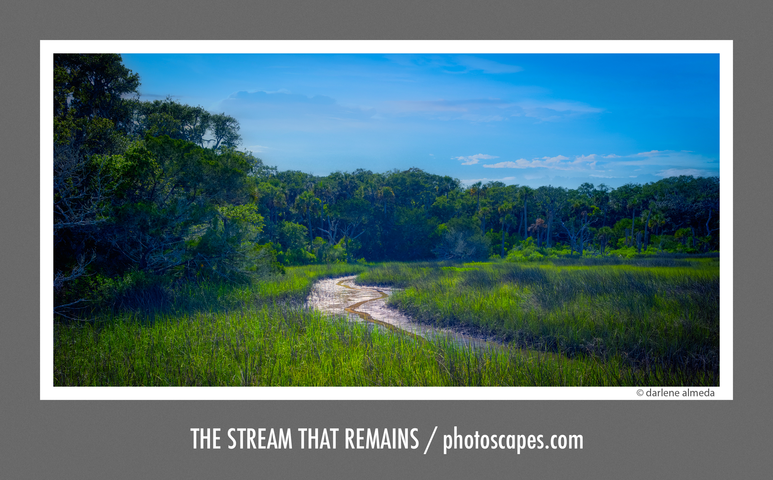 The Stream That Remains